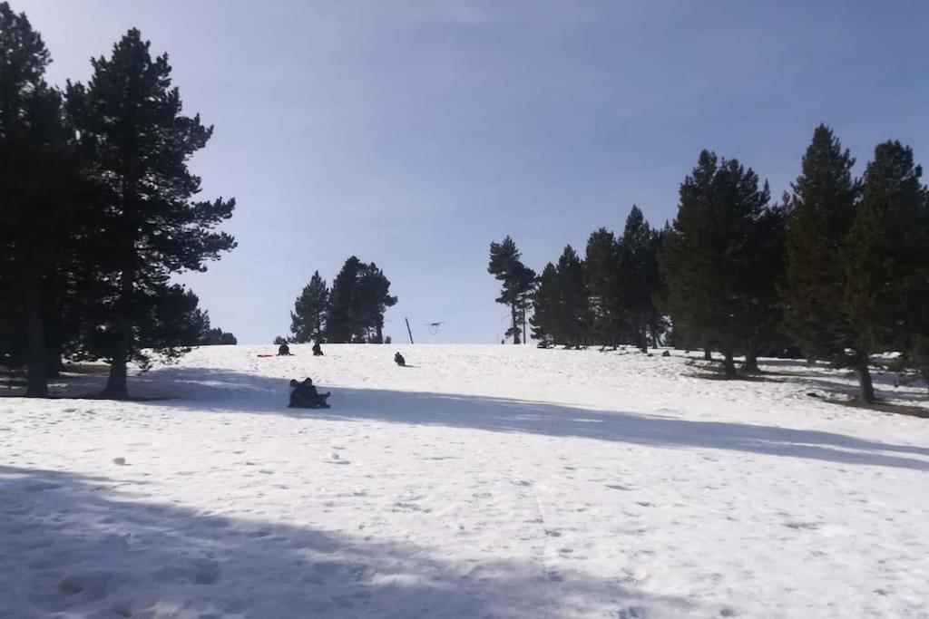 El Niuet De Cal Cacuet, La Teva Escapada Rural. Lägenhet Aviá Exteriör bild