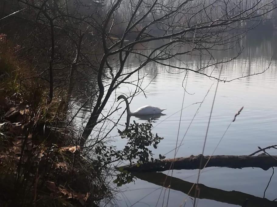 El Niuet De Cal Cacuet, La Teva Escapada Rural. Lägenhet Aviá Exteriör bild